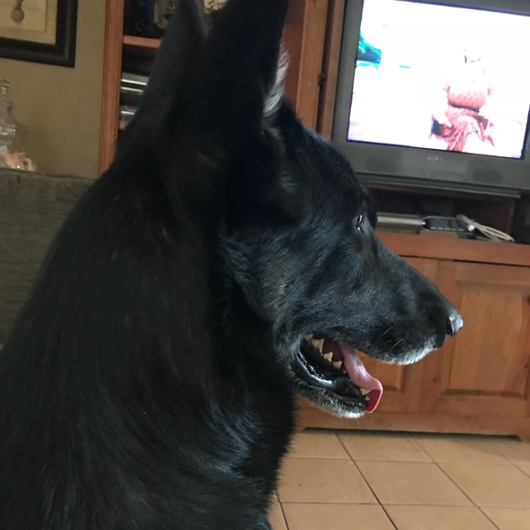 Meet your Posher, Alex - Picture 2 of 2